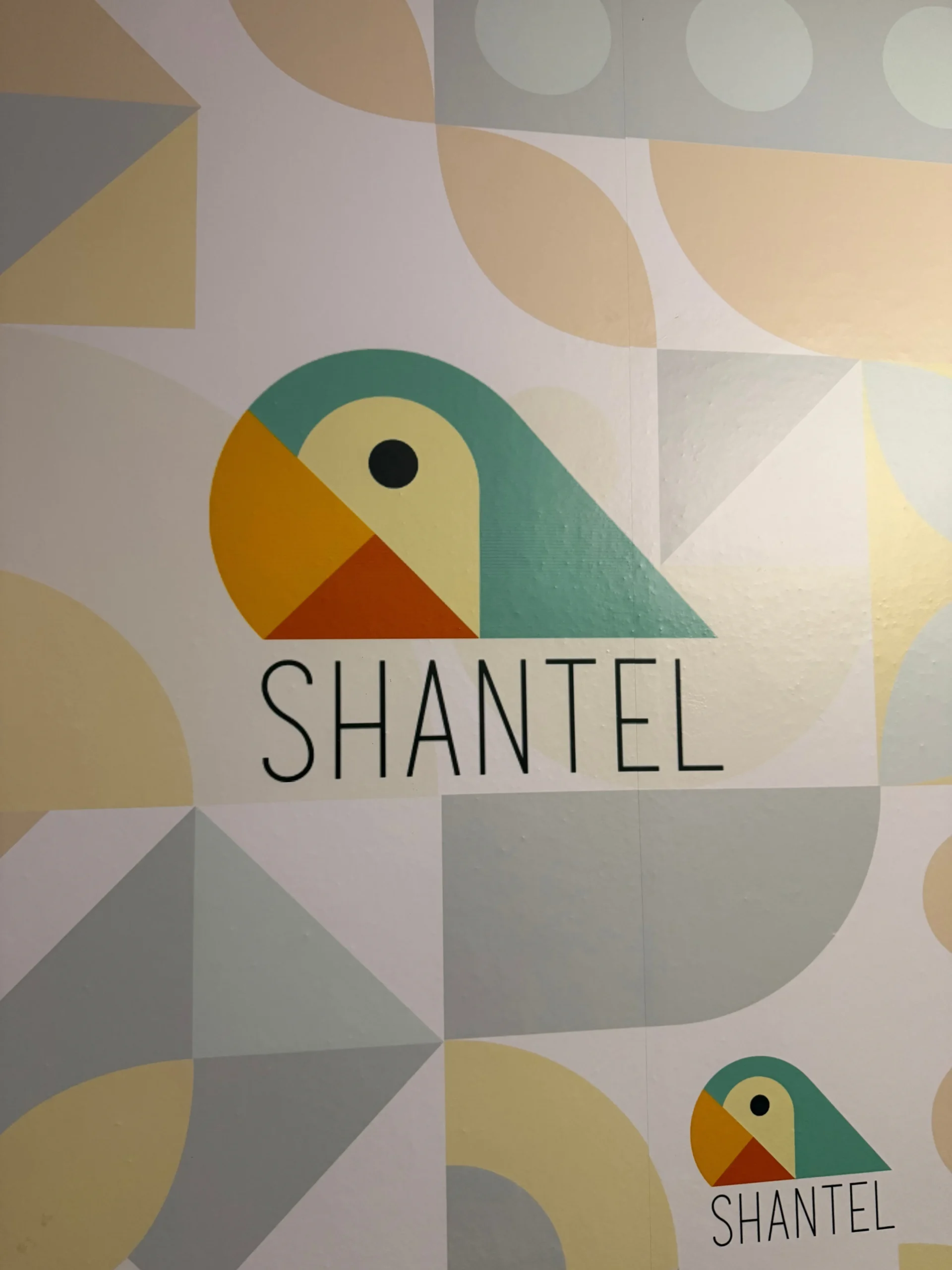 Zid sa logotipom agencije Shantel u radnom prostoru u Novom Sadu